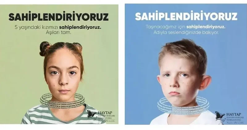 HAYTAP ın sahiplendirme ilanı infial yarattı! Bakanlık harekete geçti: Yasal süreç başlatıldı