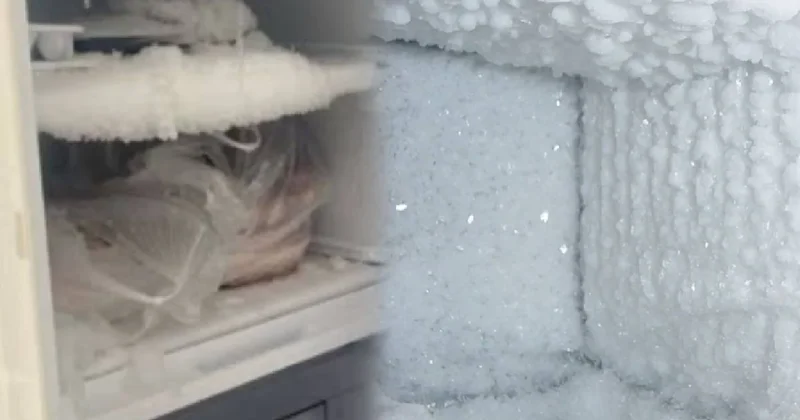 Dondurucuya asla girmemesi gereken gıdalar: Hem lezzeti hem sağlığı bozuyor Sözcü Gazetesi