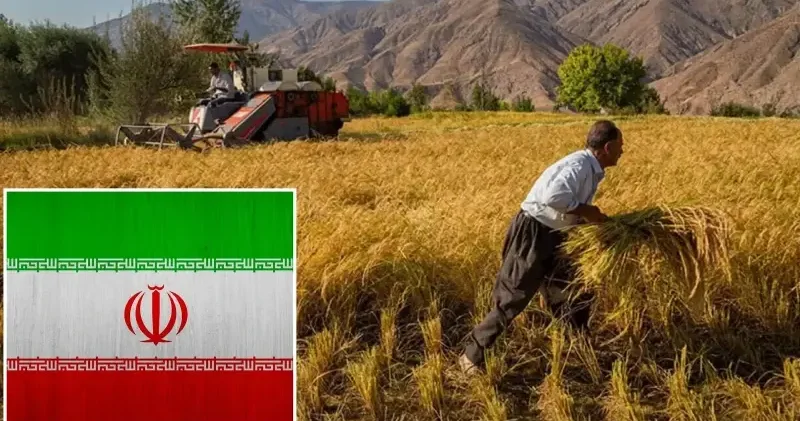 İran tüm gıda ve tarım ürünleri ihracatını yasakladı Ortadoğu Haberleri
