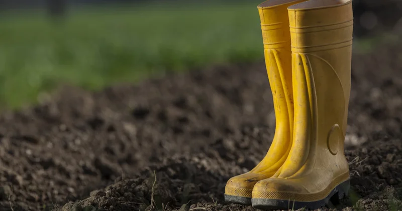 Sarı Çizmeli Mehmet Ağa hesabı ödedi mi? Barış Manço nun efsane şarkısının ardında gerçek bir hikaye varmış!