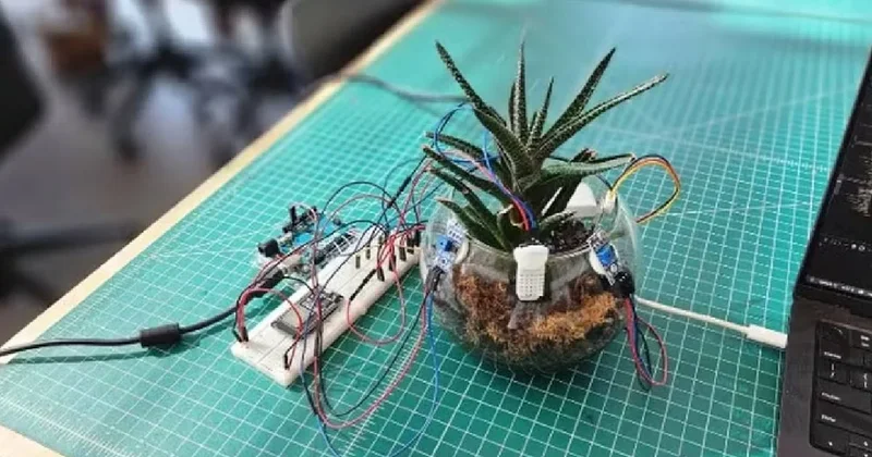 Çiçekleriniz artık dile gelip konuşacak: Dert ve şikayetlerini anlatabilecekler Sözcü Gazetesi