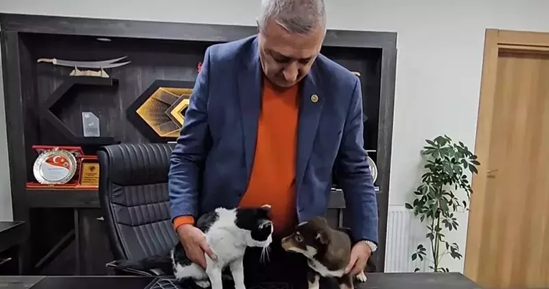 Başkanın makamı Mia ve Fındık’ın yuvası oldu