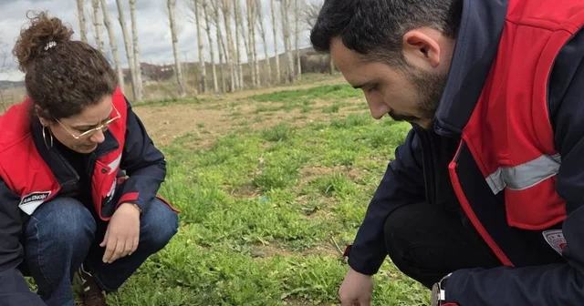 Tarım arazilerinde hastalık ve zararlı kontrolleri yapıldı Afyonkarahisar Haberleri