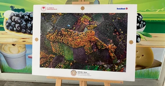 Bilecik te Tarım, Orman ve İnsan fotoğraf sergisi düzenlendi Bilecik Haberleri