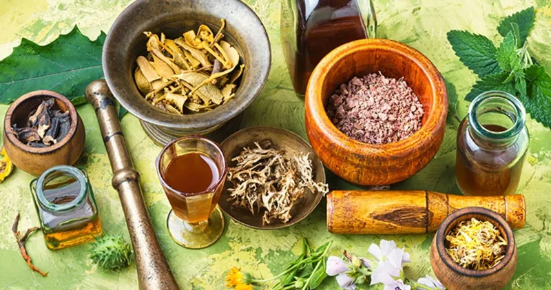 48 bin tür tehlikede: Kansere çare olan bitkiler risk altında