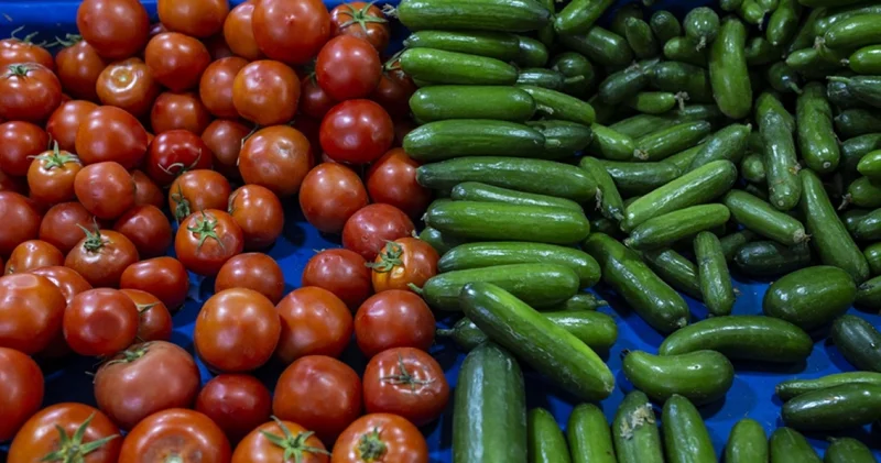 İşte şubat ayı zam şampiyonları İş Yaşam Haberleri