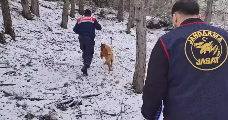 Ormanda bulunan kafatası ve kemik parçaları 2 kadına ait çıktı; 10 yıllık çifte cinayet aydınlatıldı