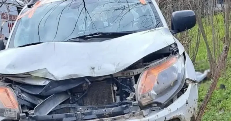 Köpeğe çarpmamak için manevra yaptı, yol kenarındaki yayayı öldürdü!