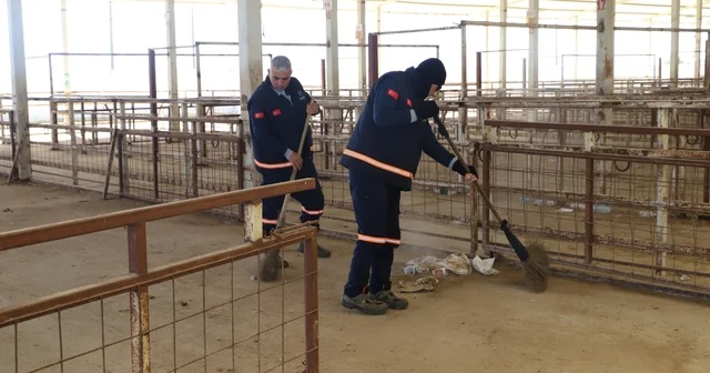 Nazilli Hayvan Pazarı 7 ay sonra yeniden açılıyor Aydın Haberleri
