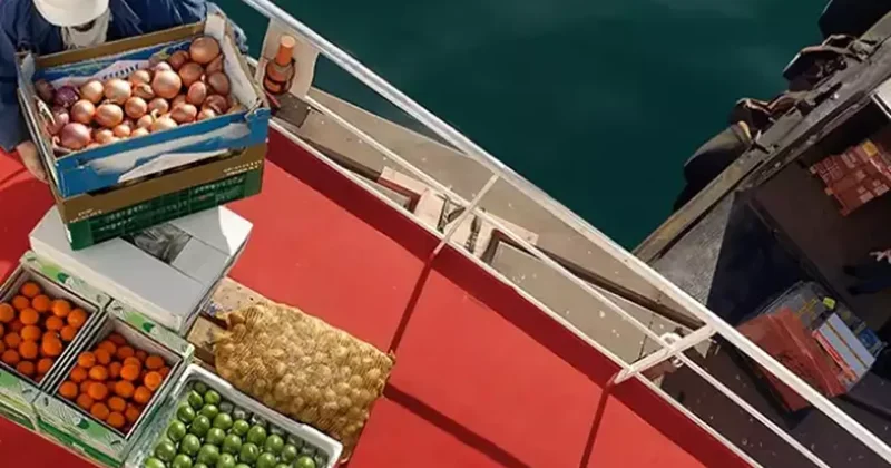 Maliyetler artabilir! Hürmüz Boğazı kapatıldı