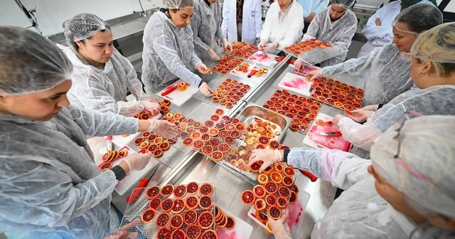 Mersin de kan portakalı kadınların elinde değer kazanıyor Mersin Haberleri