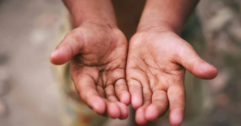 Fiyatlar %41 fırladı, fabrikalar şalter indirdi: 45 milyon insanı bekleyen tehlike kapıda Sözcü Gazetesi