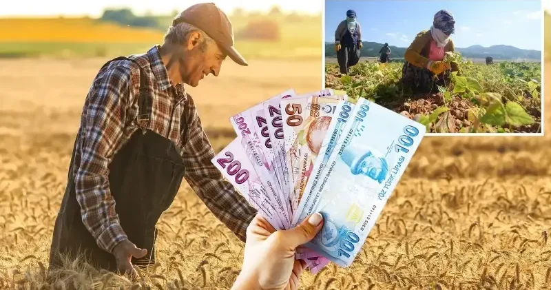 Kırsal kalkınmaya dev destek: Yüzde 70’e varan hibe imkanı Ekonomi Haberleri