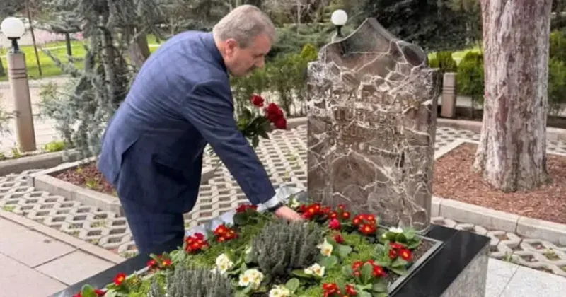 Destici den Alparslan Türkeş mesajı