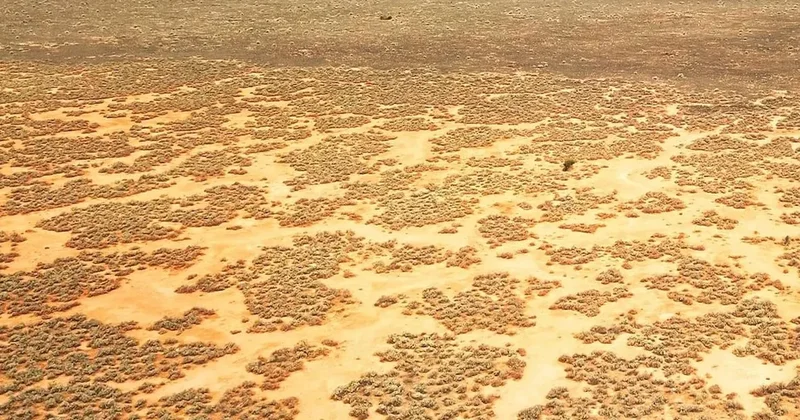 Çölün ortasındaki dev yarayı tesadüfen fark ettiler: Kaynağı açıklandı Sözcü Gazetesi