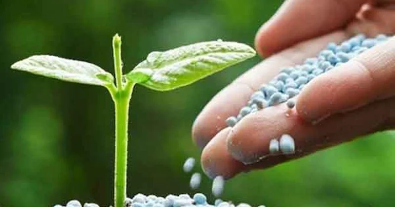 Ticaret Bakanlığı gübrede vergiyi sıfırladı Sözcü Gazetesi