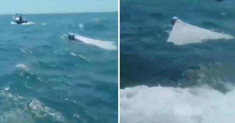 İran, ABD İHA sını düşürdü