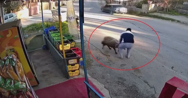 Sürünün geçişi esnasında 3 metrelik kuyuya düşen koyunu esnaf kurtardı: O anlar kamerada Hatay Haberleri