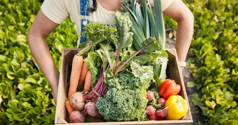 Gıda fiyatlarında artış sürüyor