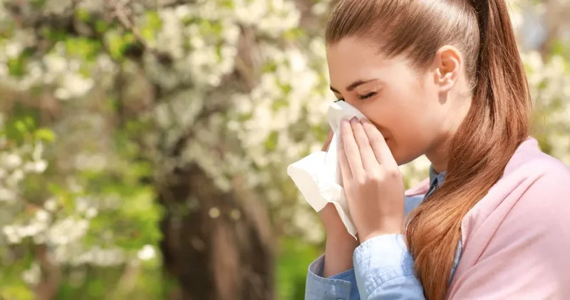 Bahar gelince hapşırık başladı: Şehir ışıkları polen kabusunu uzatıyor!