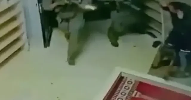 İşgalciler camideki Filistinli adamın üzerine köpek saldı VİDEO İZLE