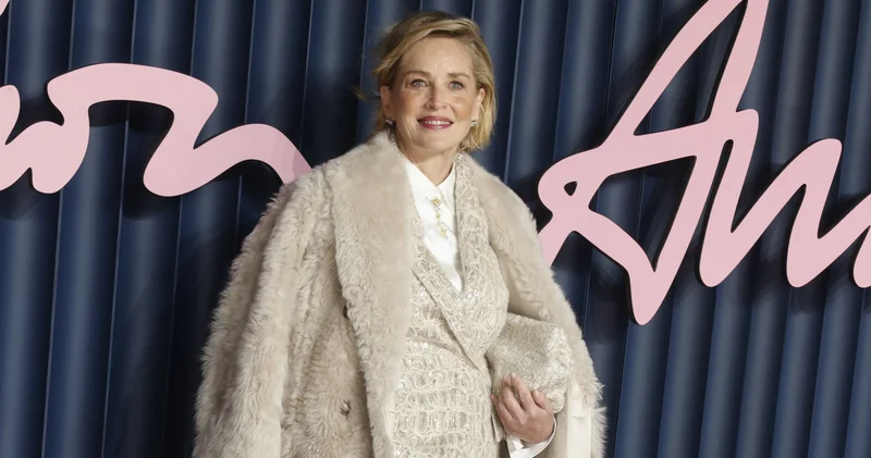 Sharon Stone Hollywood da en iyi öpüşen erkek oyuncuyu açıkladı