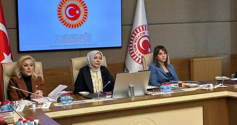 Kamu Denetçisi Benli: Cinayete maruz kalan kadınların yüzde 88 inin koruma kararı yok