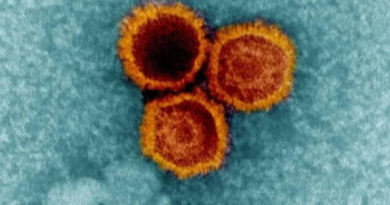 Doğanın en tehlikeli parazitleri: Organların yerini alıp zihni kontrol ediyor Sözcü Gazetesi