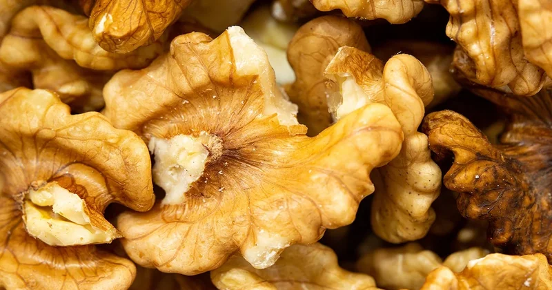 Bilim insanları ceviz yemek için ideal zamanı açıkladı Sözcü Gazetesi