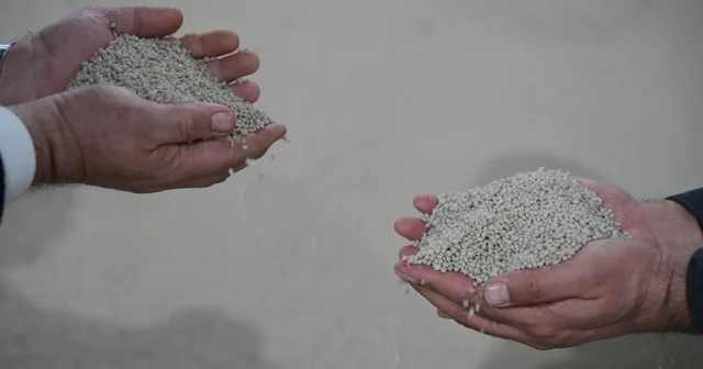 Küresel gübre krizine yerli çözüm: Arz sorunu yok Eti Bakır, Türk çiftçisine gübre kalkanı oldu Samsun Haberleri