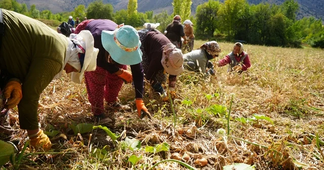 Tarım yatırımlarına yüzde 70 e varan hibe desteği Erzincan Haberleri