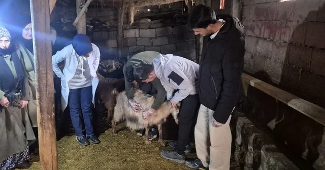 Özalp te çiftçilere yönelik eğitim seferberliği başlatıldı Van Haberleri