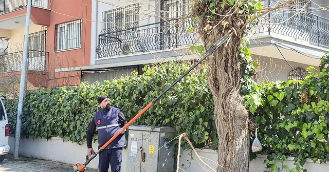 Efeler Belediyesi nden tarihi mahallelerde çevre düzenlemesi Aydın Haberleri