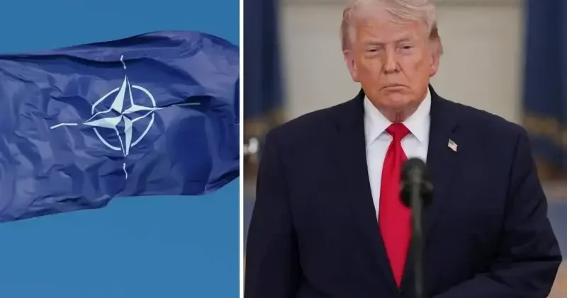 NATO, kuruluşunun 77. yıl dönümünde en güçlü üyesi ABD nin ayrılma riskiyle karşı karşıya: Trump tehdit ediyor Dünya Haberleri