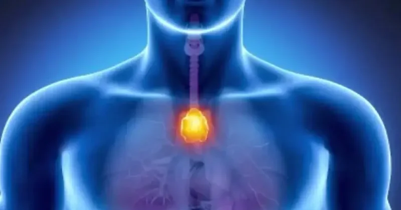 Bu organınız kansere meydan okuyor! Herkesi şaşkına çevirdi