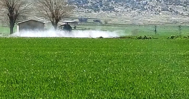 Araban da sarı pas hastalığını önlemek amaçlı ilaçlı mücadele başlatıldı Gaziantep Haberleri