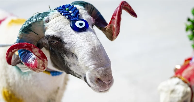 2026 Kurban Bayramı ne zaman? Bayram tatili 9 gün sürecek mi? Bayramın ilk günü hangi tarihe denk geliyor?