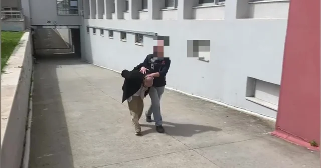 Aracında 825 kilo bonzai yapılacak ham madde yakalattı: Bana ait değil Adana Haberleri