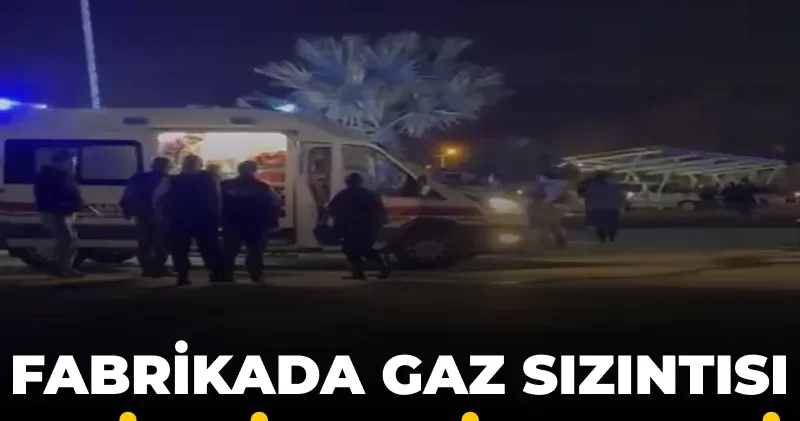 Fabrikada gaz sızıntısı: 15 işçi zehirlendi