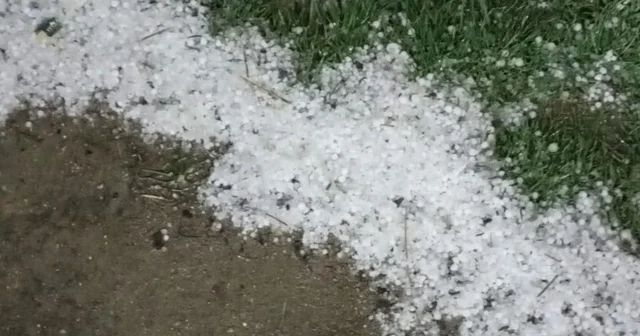 Bolu da sabaha karşı yağan dolu yeşil alanları beyaza bürüdü Bolu Haberleri