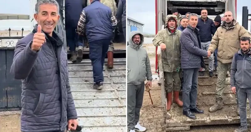 Koyun satın alırken Türkiye de bir ilki gerçekleştirdi