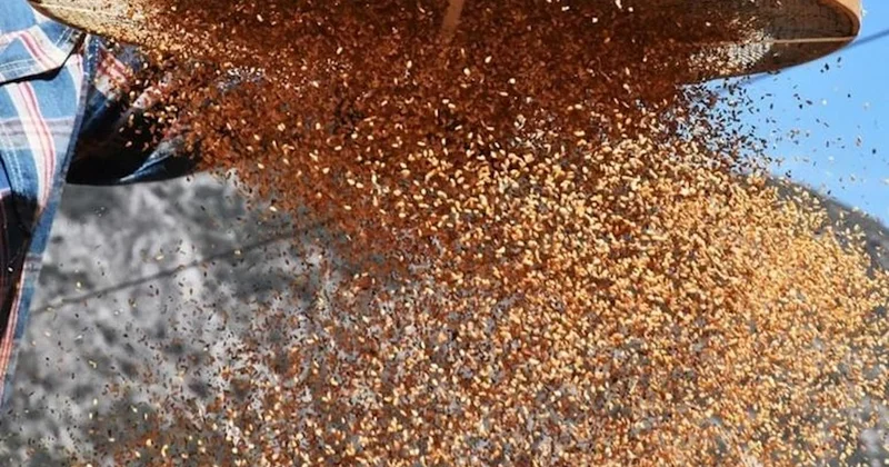 Yiyen kalsiyuma boğuluyor! Süt yanından bile geçemiyor Sözcü Gazetesi