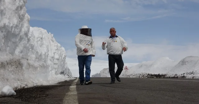 2581 rakımda arıcılardan yol açma çağrısı Ardahan Arıcılar Birliği Başkanı Evliyaoğlu, Bu bakımevi hayati öneme sahip Ardahan Haberleri