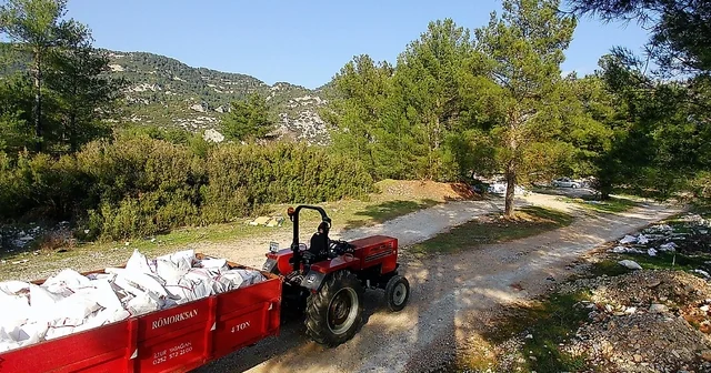 Kaçak döküm yapanlar fotokapandan kaçamadı Muğla Haberleri
