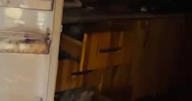 Gümüşhane halkının aç kalan ayılarla imtihanı: Yayla evlerini savaş alanına çevirdiler VİDEO İZLE