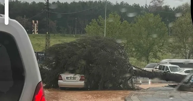 Çatılar uçtu, ağaçlar devrildi, park halindeki araçlar büyük zarar gördü Gaziantep Haberleri