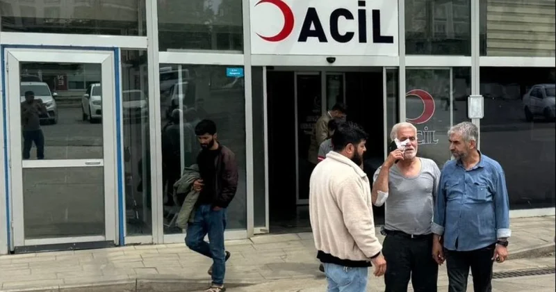 Şanlıurfa da sahipsiz köpeğin saldırdığı kişi yaralandı