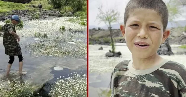 Hatay da 11 yaşındaki çobanı sitem ettiren manzara: Utanın, arlanın