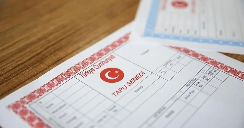 Tapuda gizli şifre: Rengine bakmadan imza atan pişman oluyor! Sözcü Gazetesi