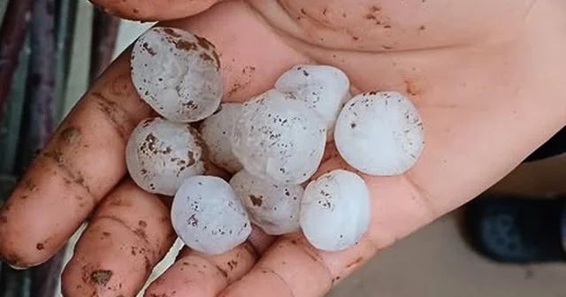 Araban da etkili olan dolu yağışı korkuttu Gaziantep Haberleri
